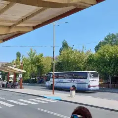 Ile się jedzie autokarem do Złotych Piasków? Sprawdź czas podróży